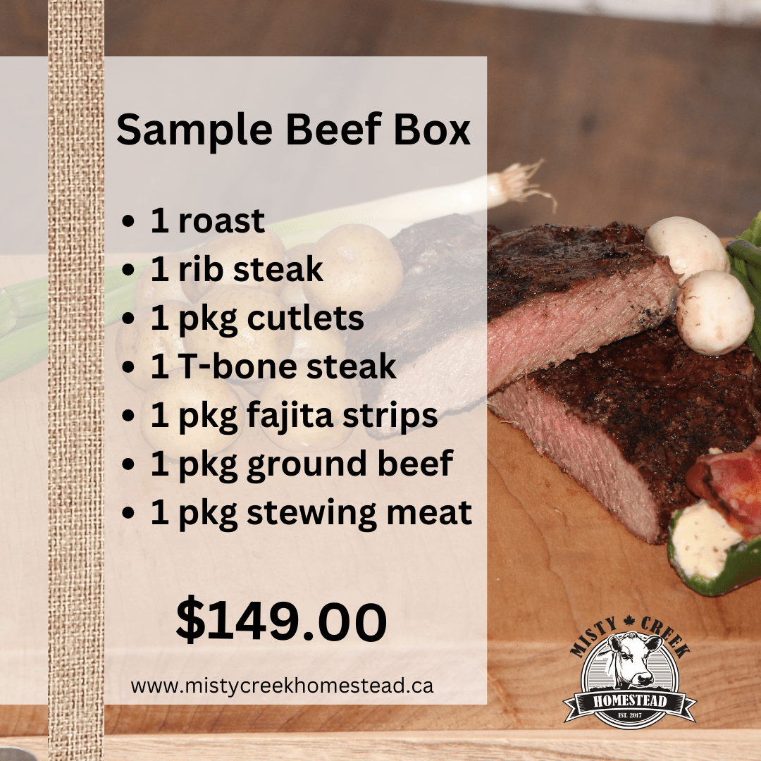 Ranchers Sample Beef Box Misty Creek Homestead 